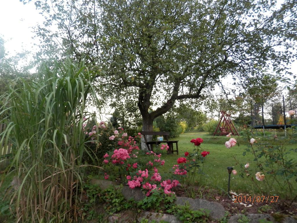 Zagroda Agroturystyczna Wiecha Mieroszow Buitenkant foto